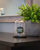 Cara Keepsakes Keepsake Urn Mini Urn with Glass Dome Keepsake Urn - "In the Garden"