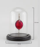 Cara Keepsakes Keepsake Urn Mini Urn with Glass Dome Keepsake Urn - "Beyond the Sunset"