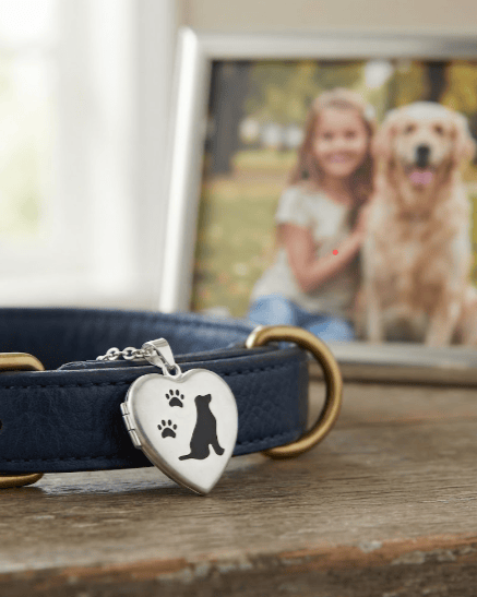 Cara Keepsakes Silver Locket Urns Dog Locket Urn
