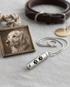 Cara Keepsakes Stainless Steel Stainless Steel Paw Print Cylinder Urn